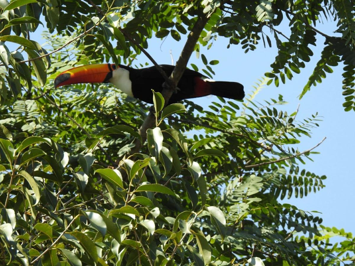 Águas de São Pedro Estrela Da Manha Pousada - Centro De Aguas - Proximo Ao Thermas المظهر الخارجي الصورة